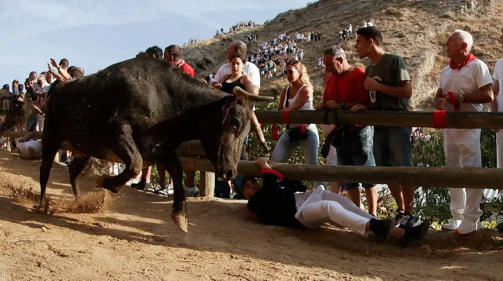 Primer encierro del Pil&oacute;n de Falces. EFE / JES&Uacute;S DIGES