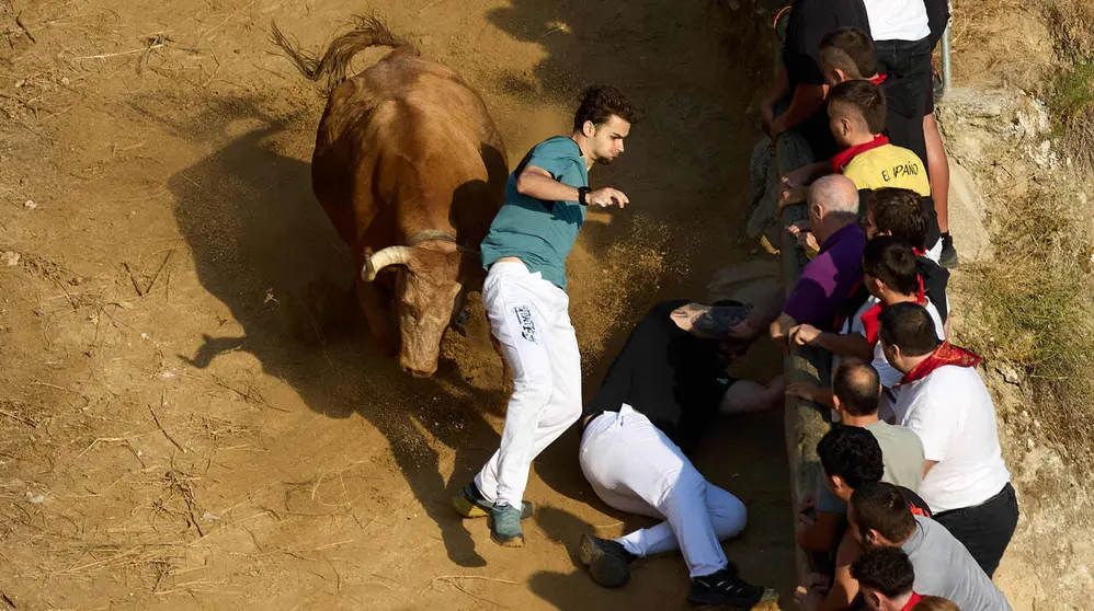 Quinto encierro del Pil&oacute;n de Falces 2026. I&Ntilde;IGO ALZUGARAY