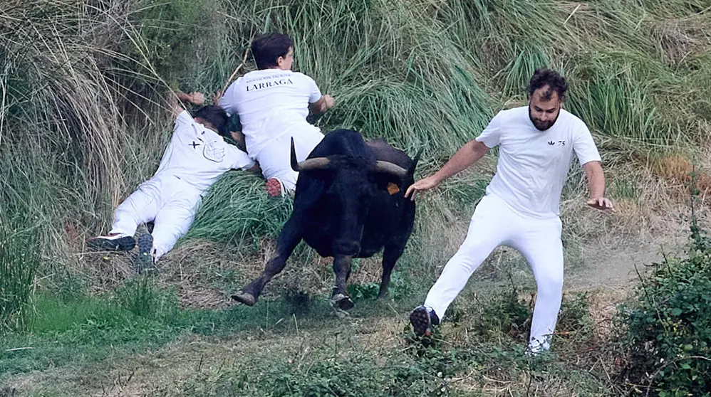 &Uacute;ltimo encierro del Pil&oacute;n de Falces 2026. I&Ntilde;IGO ALZUGARAY