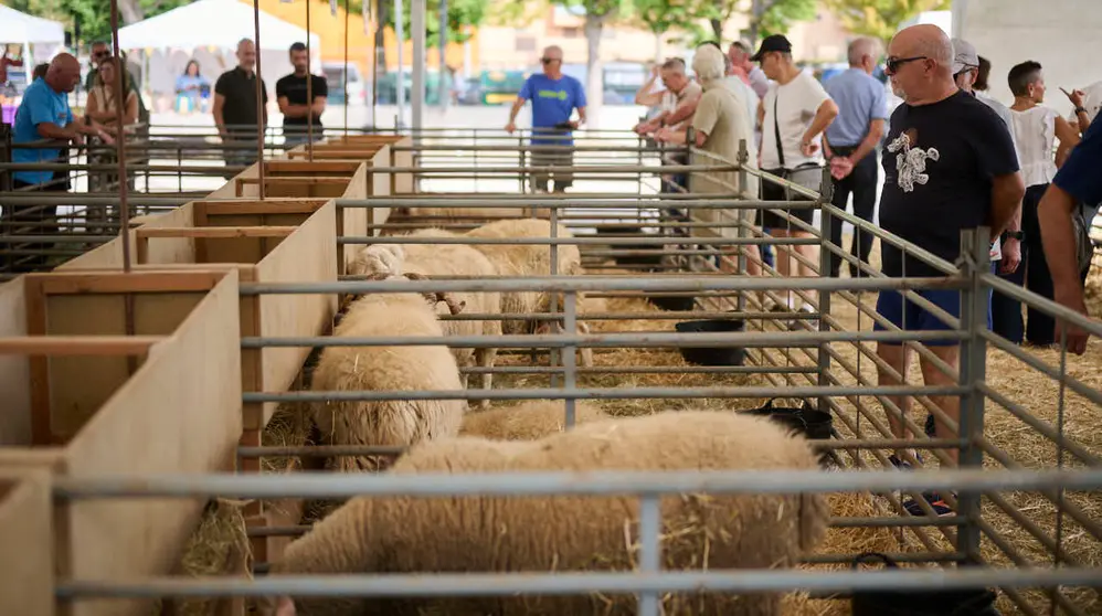 Feria ganadera &lsquo;Autentika&rsquo; en el Parque de la Runa de Pamplona. PABLO LASAOSA