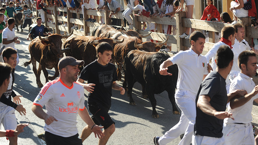 Último encierro de Lodosa. Miguel Osés (7)