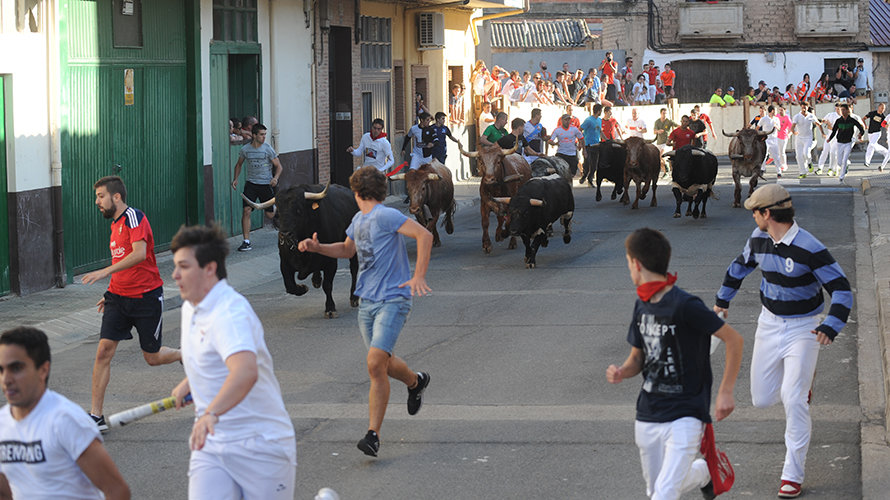 Último encierro de Lodosa. Miguel Osés (12)