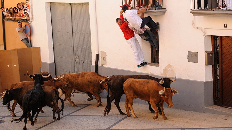 El pueblo de Navarra que celebra este fin de semana sus Fiestas de la Juventud con vaquillas, encierros y una gran fideuá