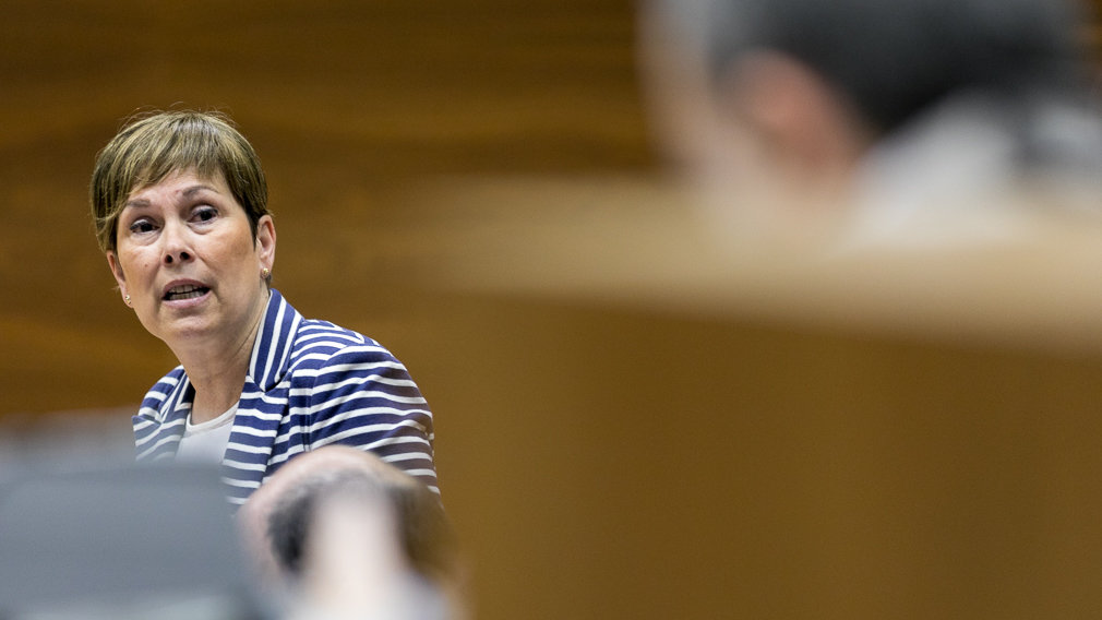 Sesión plenaria del Parlamento de Navarra (75). IÑIGO ALZUGARAY