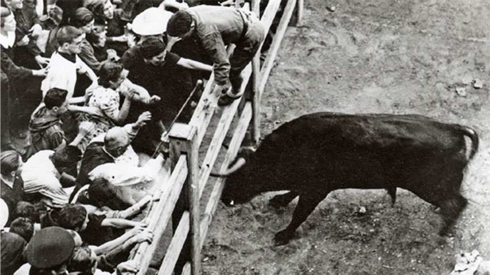 <<Liebrero>> a punto de partir el vallado. En la foto se puede ver al mozo que le incitó. FOTO: JOSÉ GALLE GALLEGO.