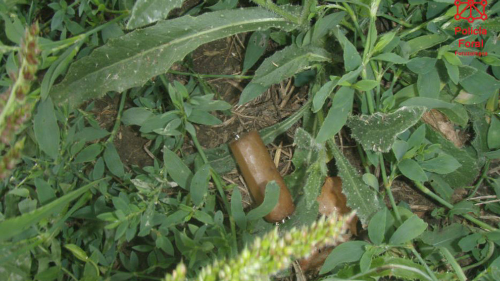 Salchica con clavos encontrada. POLICÍA FORAL