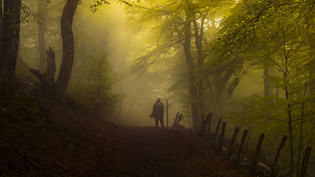 Antonio Pascual. Roncesvalles