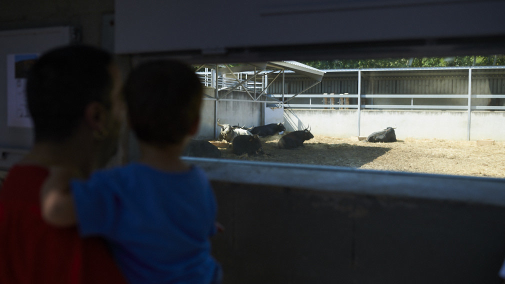 Jóvenes y mayores acceden a los Corralillos del Gas para ver a los toros antes de San Fermín 2019. PABLO LASAOSA 4