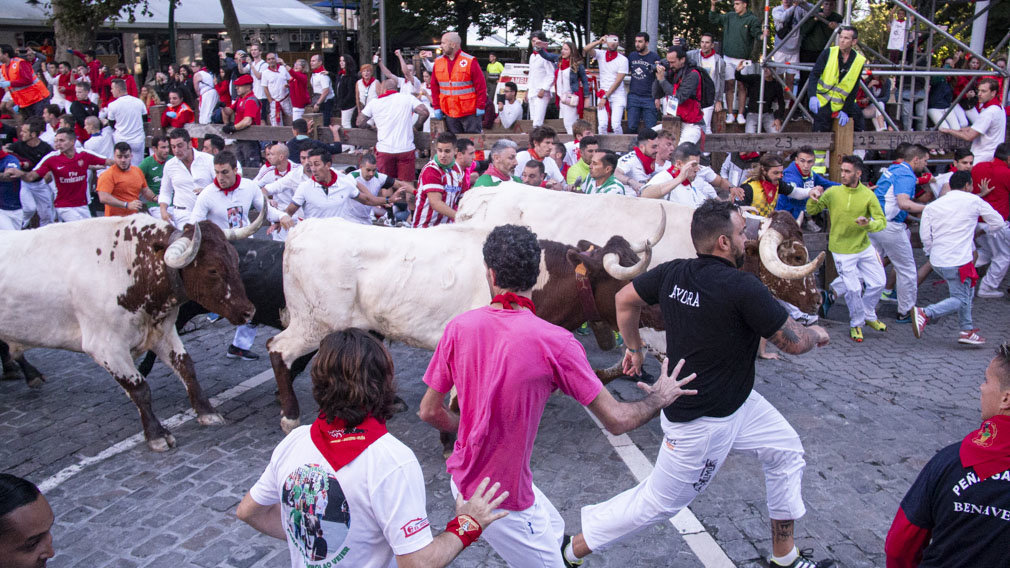 Cuarto encierro de San Fermín 2019 con toros de Jandilla en el tramo de telefónica, Pamplona. . NOEMÍ VERA  (19)