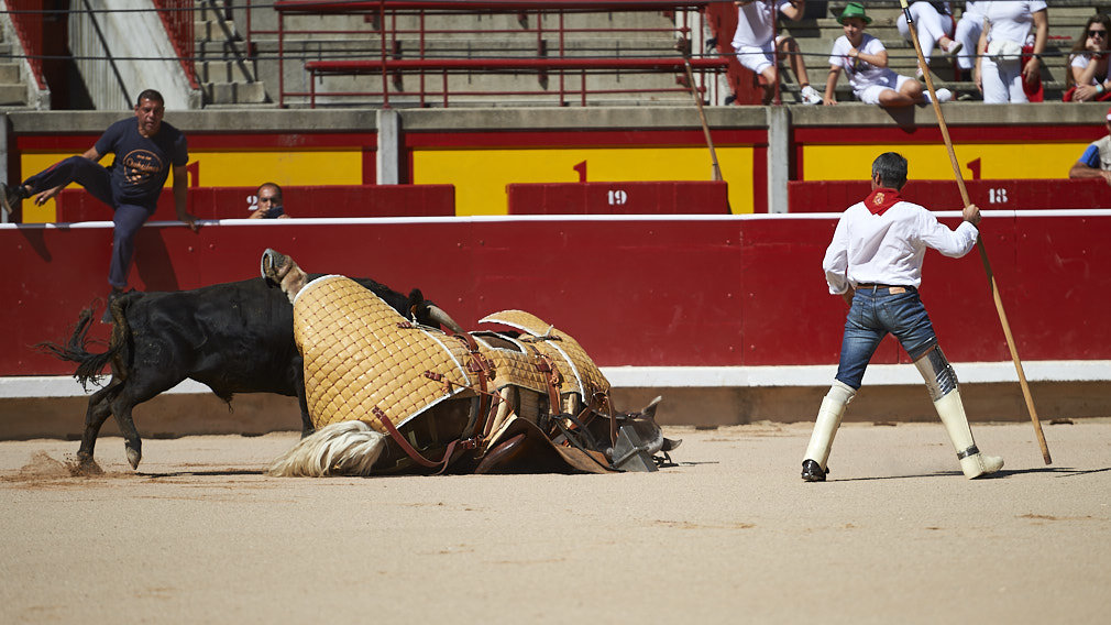 Jornada de toros en familia en el coso pamplones durante los sanfermines de 2019. MIGUEL OSÉS