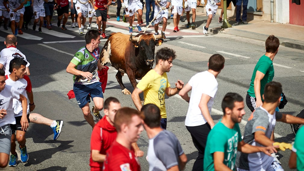 Las calles de Lodosa recuperan el Toro con Soga: todas las fechas de encierros hasta el 12 de octubre