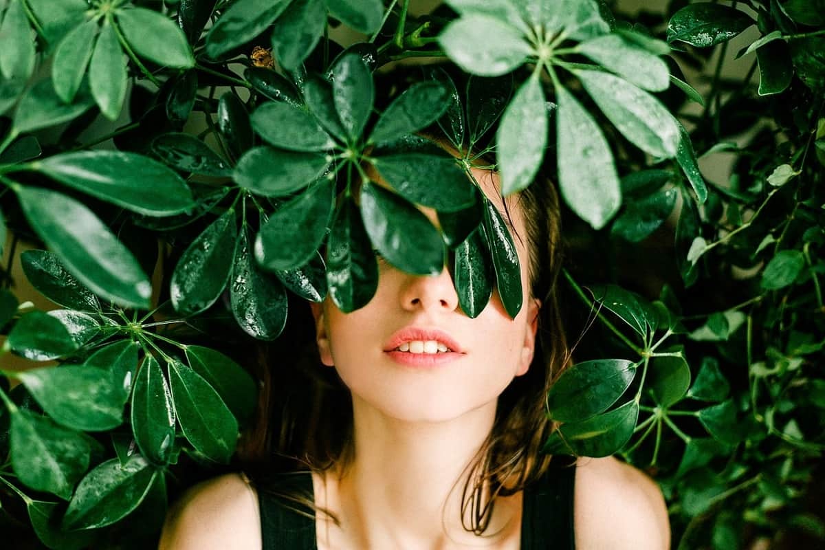 ¿Qué hago con mis plantas en vacaciones? 3 sistemas de riego sencillos