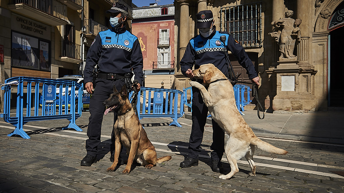 podar Mediar Contaminar Tyrion y Suri, la 'patrulla canina' de la policía que 'caza' droga por  Pamplona