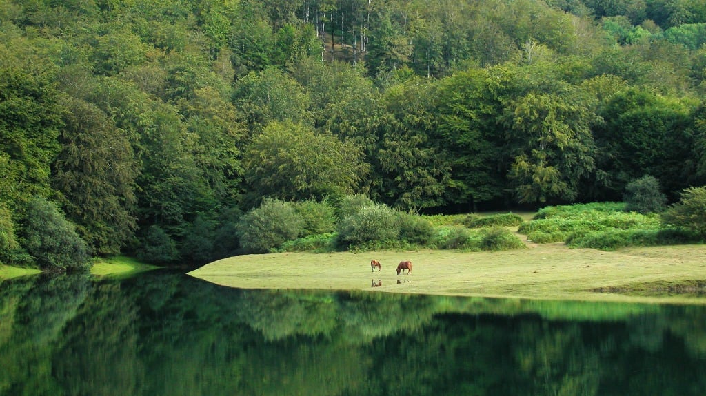 embalse de Leurtza navarra