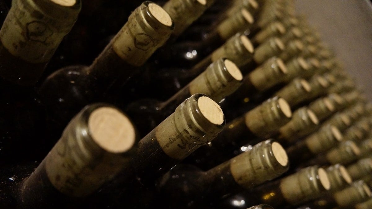 Bodegas Navarra: cuáles son las mejores.