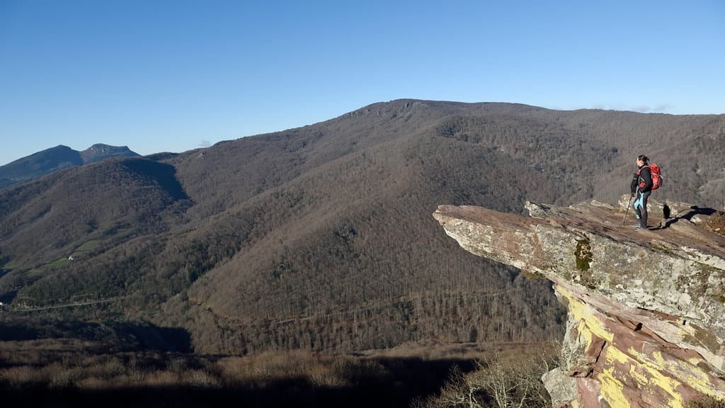 Selva de irati: 5 rutas top para recorrer el paraje natural.