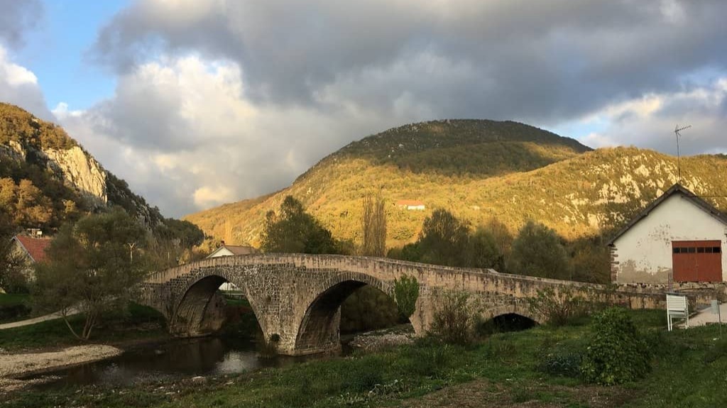 Qué rutas hacer en la Selva de Irati.