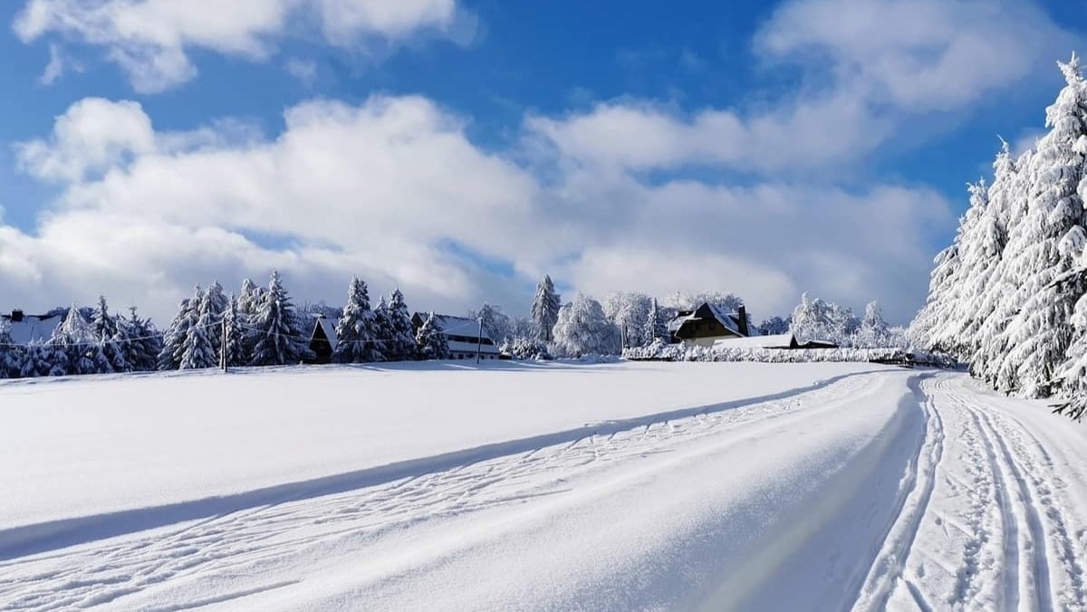 El esquí es uno de los deportes más populares del turismo de invierno. Foto: Pixabay.