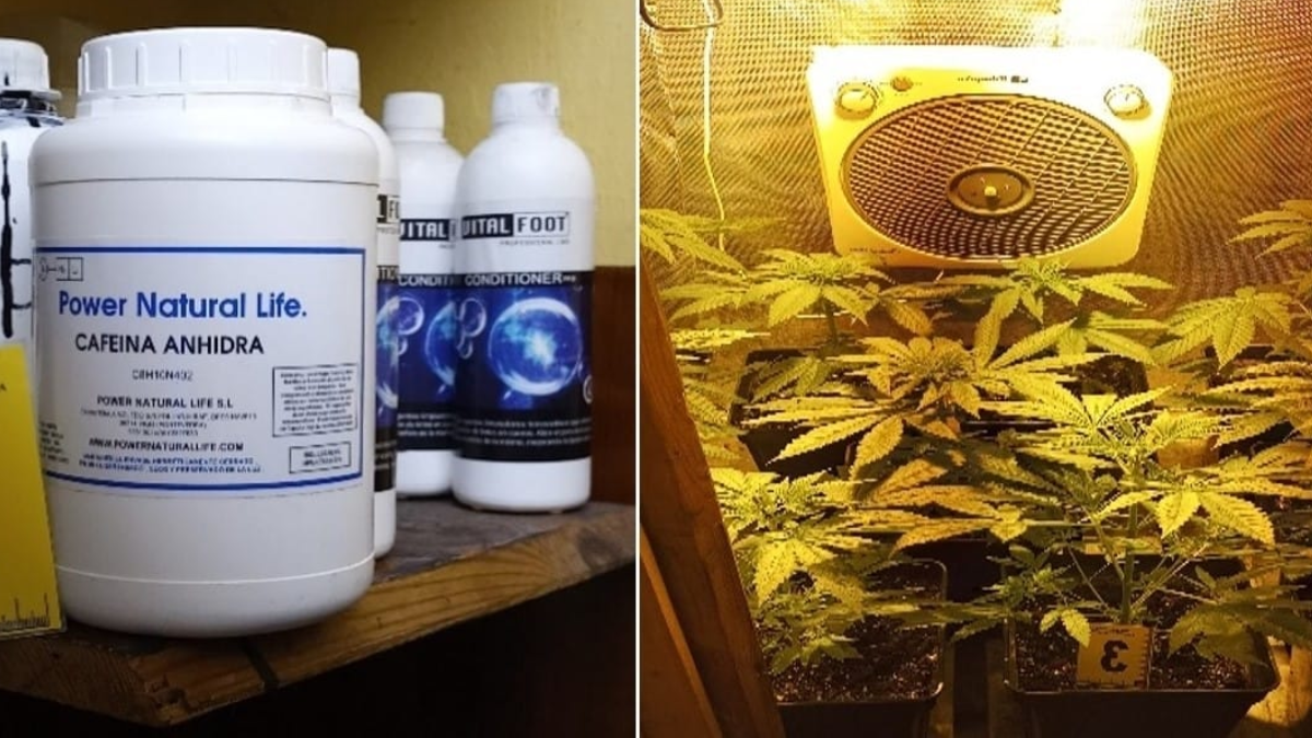 Dinero, sustancias de corte y marihuana intervenidas en Burlada