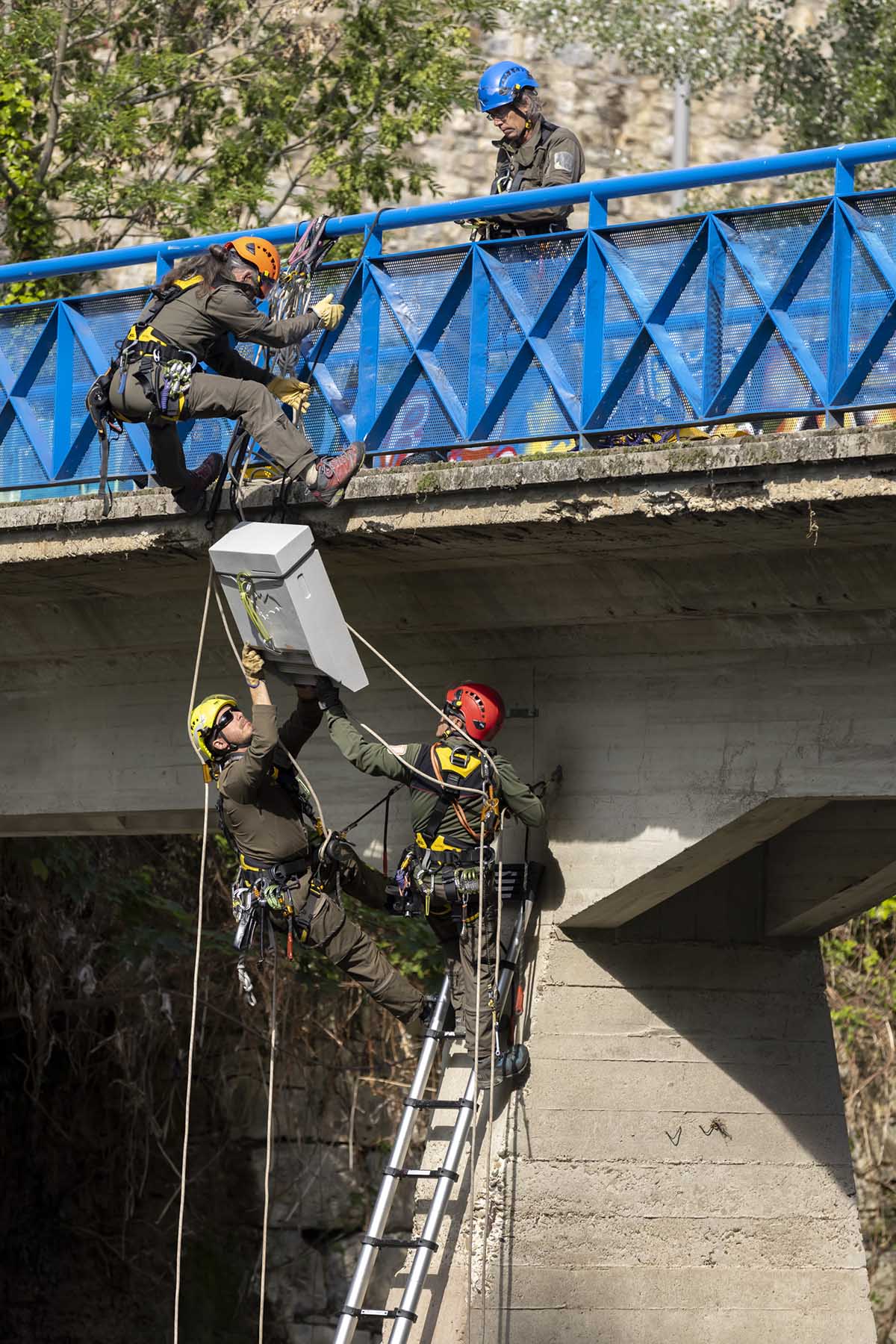 Algunos puentes de Pamplona albergan ya cajas-refugio para tres de las ocho especies de murciélago que hay en la ciudad. AYUNTAMIENTO DE PAMPLONA
