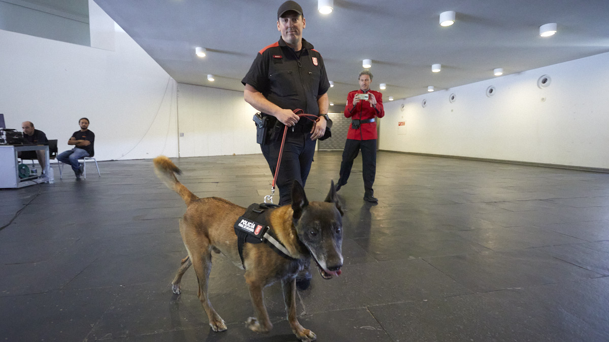 El perro policía “Klaus” recibe una Mención Honorífica en el Acto Conmemorativo del Día de la Policía Foral de Navarra por sus servicios prestados en beneficio de la seguridad ciudadana en la localización y detección de sustancias estupefacientes. IÑIGO ALZUGARAY