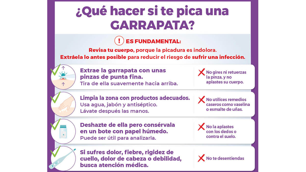Como actuar picadura garrapata. CINFA SALUD
