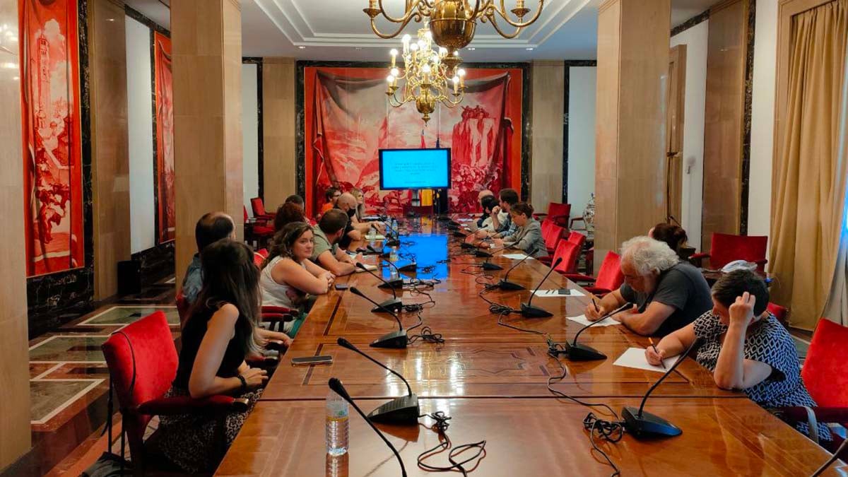 Entidades locales de Navarra reclaman agilizar la modernización de la actual estructura ferroviaria. CEDIDO