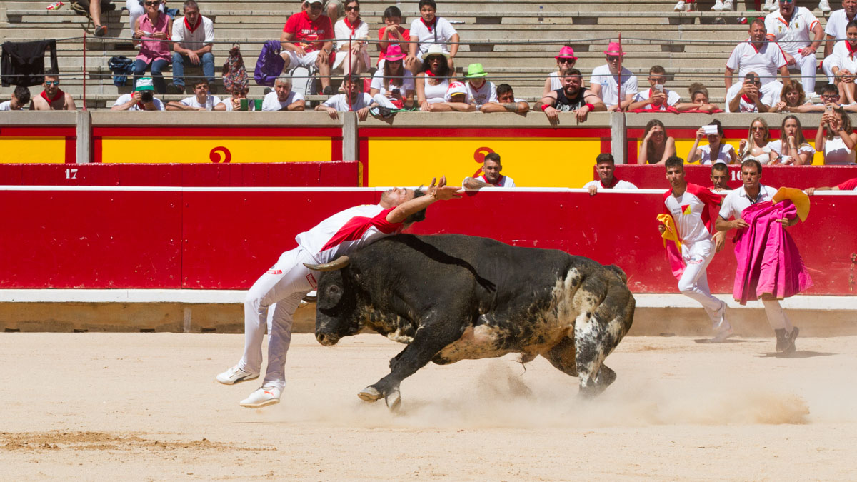 Una mañana entre pitones los espectaculares recortes 'a centímetros