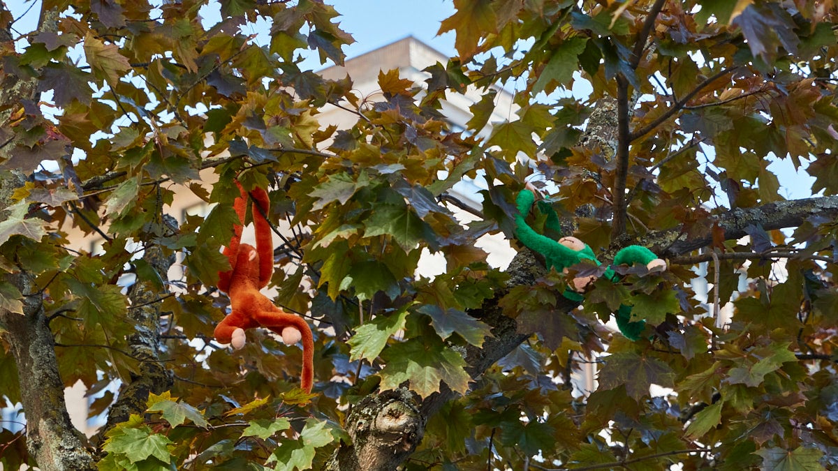 Mono de peluche en un árbol de la calle Pedro I de Pamplona. IÑIGO ALZUGARAY
