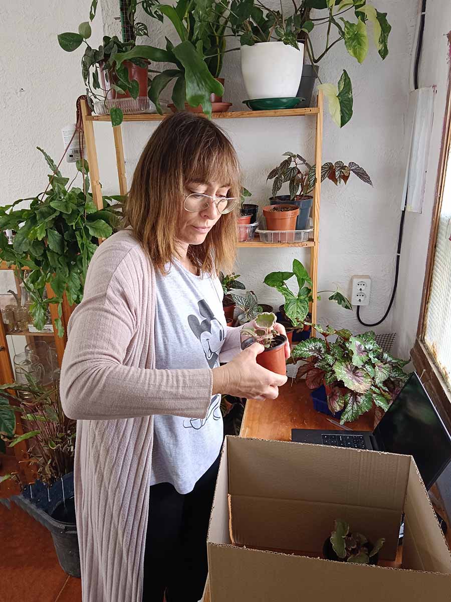 Virginia Pérez ha montado una tienda de plantas online en Corella. CEDIDA