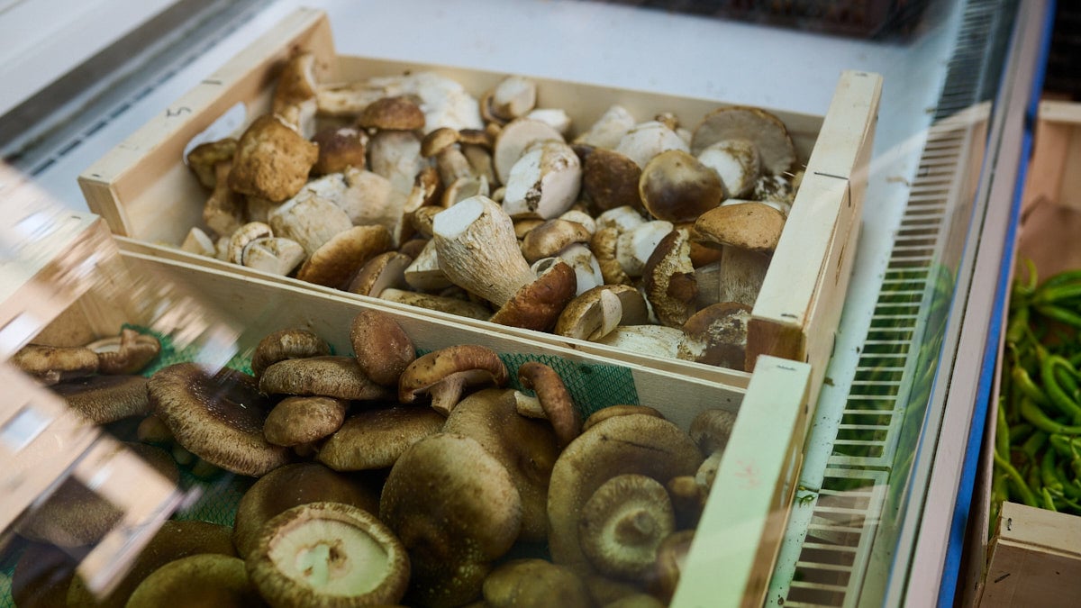 Tienda Setas y Hongos Silvestres Gobeies, Wild & Natural micología en la calle Joaquín Lizarraga 6 de la Rochapea. PABLO LASAOSA