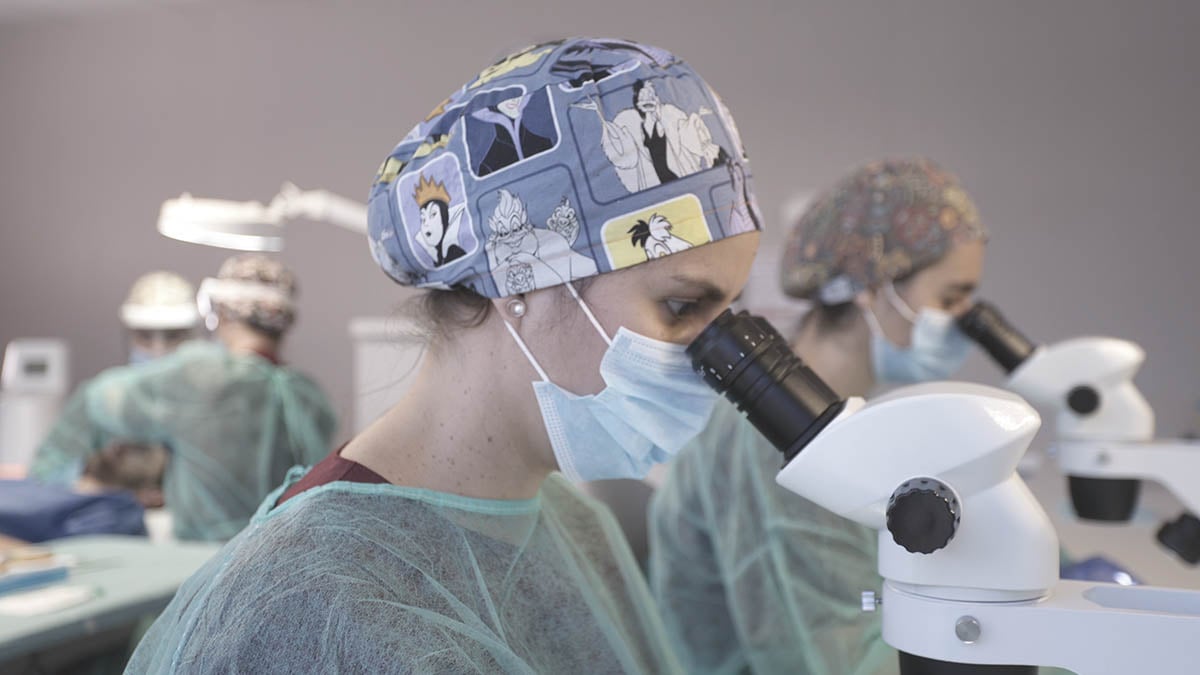 Insparya, el grupo capilar de Cristiano Ronaldo, se acerca a Pamplona el próximo martes para acercar sus servicios a todos los ciudadanos.