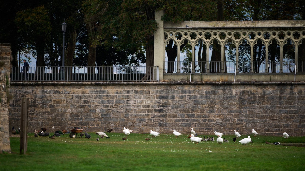 El zoo urbano en el parque de la Taconera de Pamplona. PABLO LASAOSA