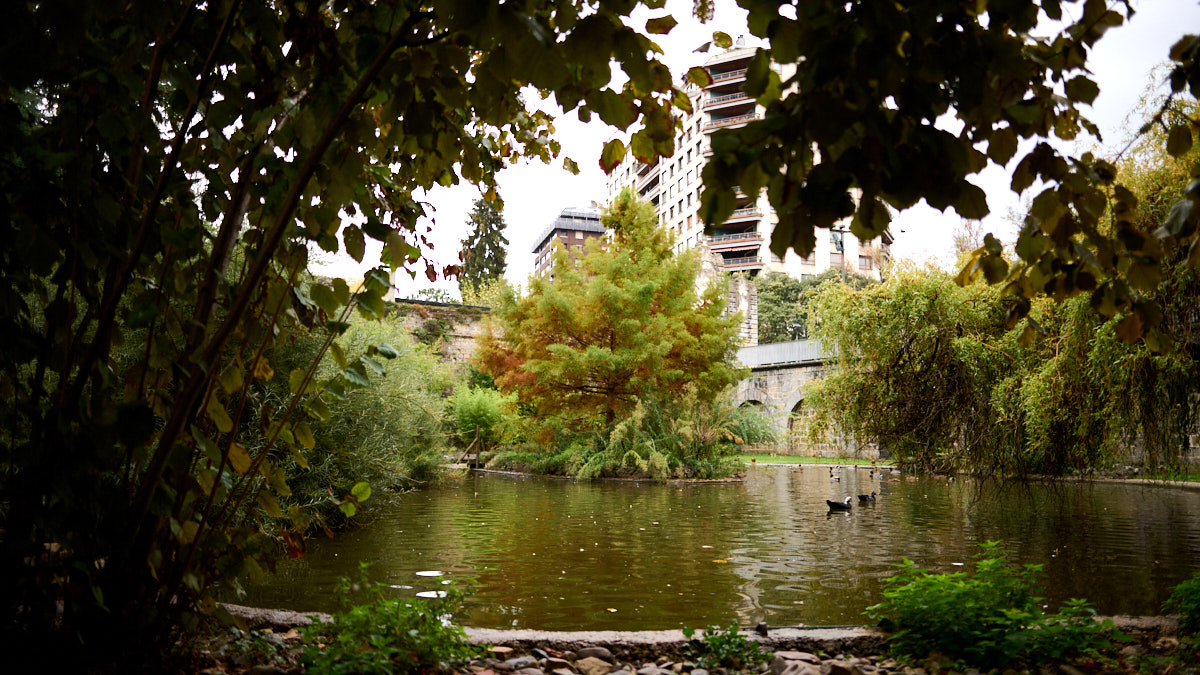 El zoo urbano en el parque de la Taconera de Pamplona. PABLO LASAOSA