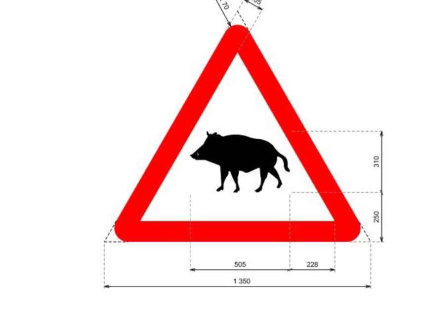 Señal P-24a: Peligro por la posible presencia de animales en libertad en la calzada, tratándose en una proporción muy significativa de jabalíes.