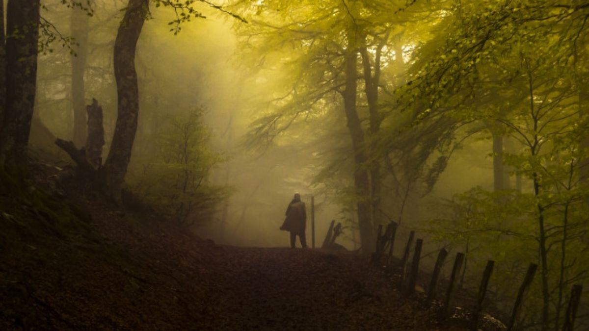 Imagen de la zona de Roncesvalles que muestra un peregrino atravesando el bosque entre la niebla. CORREOS / Antonio Pascual Pedrero