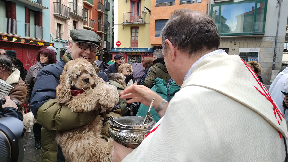 Los animales acuden a la iglesia de San Nicolás para ser bendecidos por el día de San Antón. L.V.R.