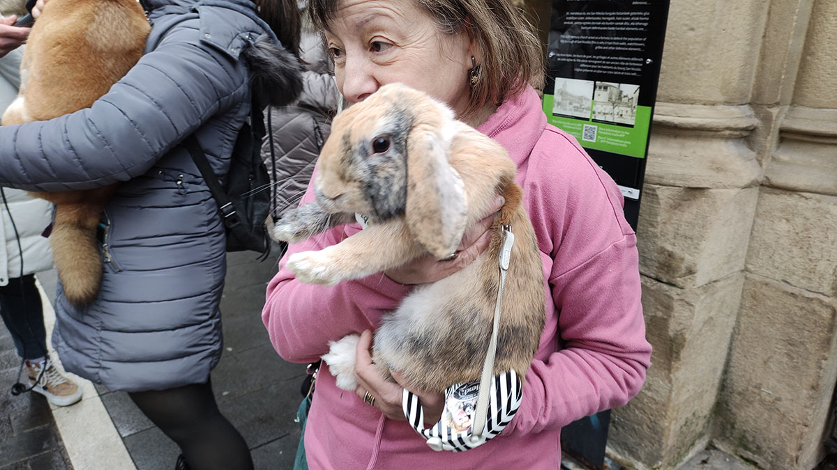 Los animales acuden a la iglesia de San Nicolás para ser bendecidos por el día de San Antón. L.V.R.