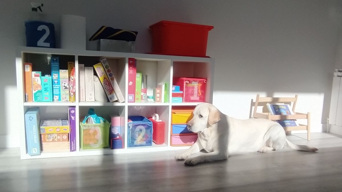 Biak Bat es un centro especializado en terapias asistidas con animales y ubicado en Alsasua. CEDIDA