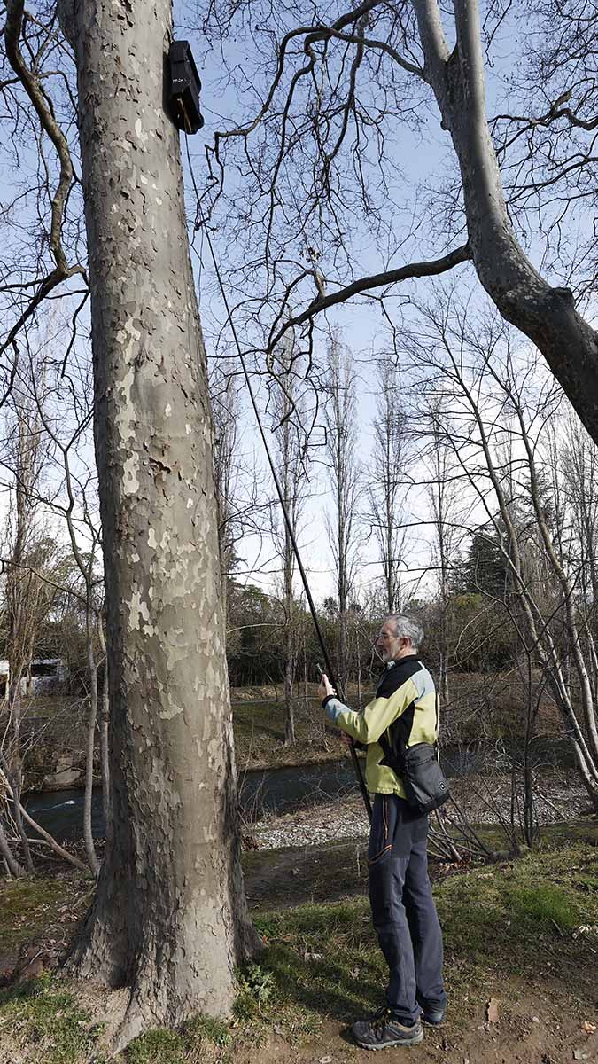 Los murciélagos hibernantes de la Península Ibérica, tras pasar aletargados el invierno en árboles, cuevas y fisuras, se están desperezando en los meses de marzo y abril y las hembras se disponen a ovular para tener una cría que nacerá en junio o julio. EFE/Jesús Diges