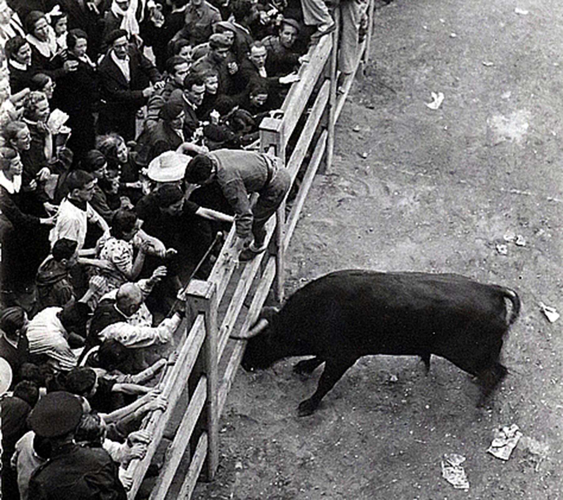 08/07/1939 ‘Liebrero’ arremete con fuerza contra el vallado. FOTO: José Galle Gallego, Colección Arazuri, Archivo Municipal.