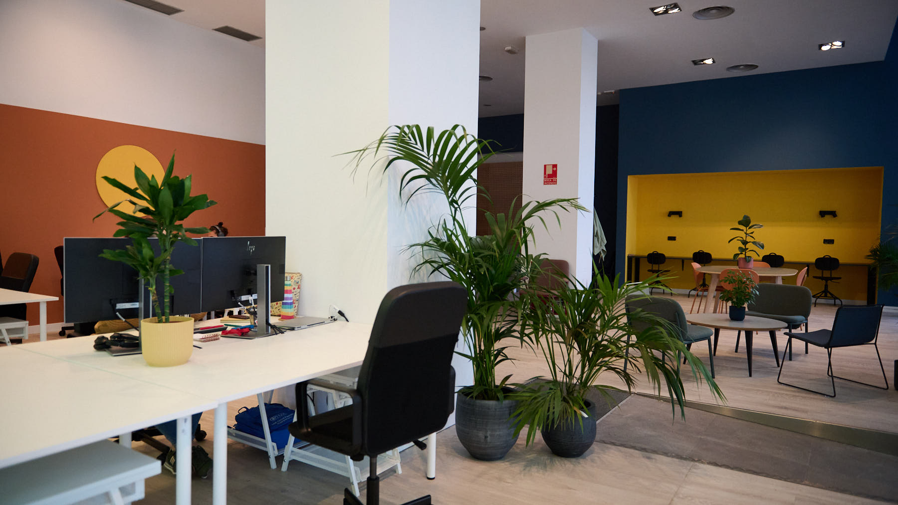 MisoCoworking, un nuevo espacio de trabajo en Pamplona en la calle Julián Arteaga  3. PABLO LASAOSA