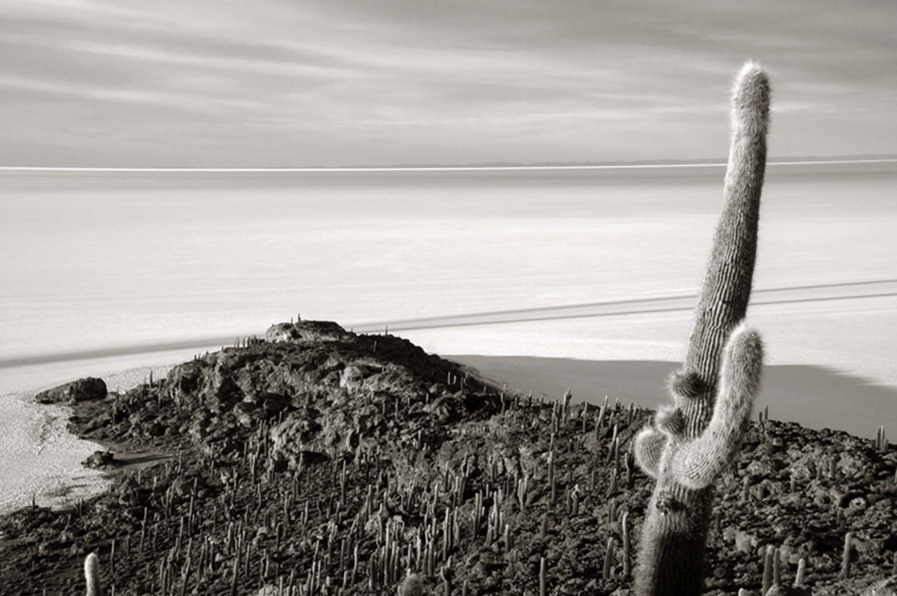 Foto 07. Fotografía colgada en la exposición de la Galería Ormolú. Salar de Uyuni. Bolivia 2009 (Fotografía Miguel Bergasa, cortesía del autor)