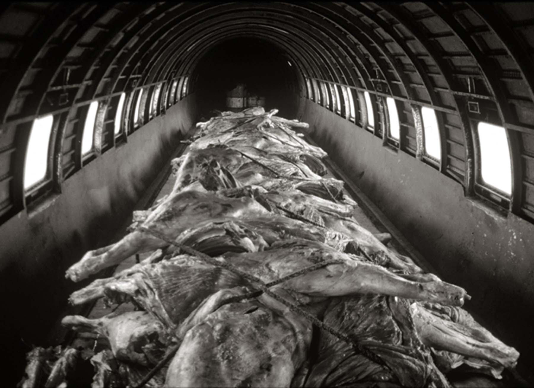 Foto 16. Aviones carniceros. Bolivia 1990 (Fotografía Miguel Bergasa, cortesía del autor)