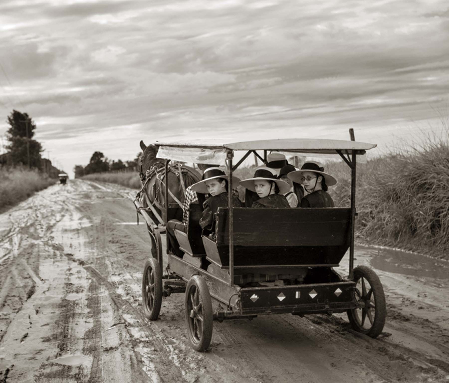 Foto 11. Menonitas de Nuevo Durango (Paraguay) en una carreta característica (Fotografía Miguel Bergasa, cortesía del autor)
