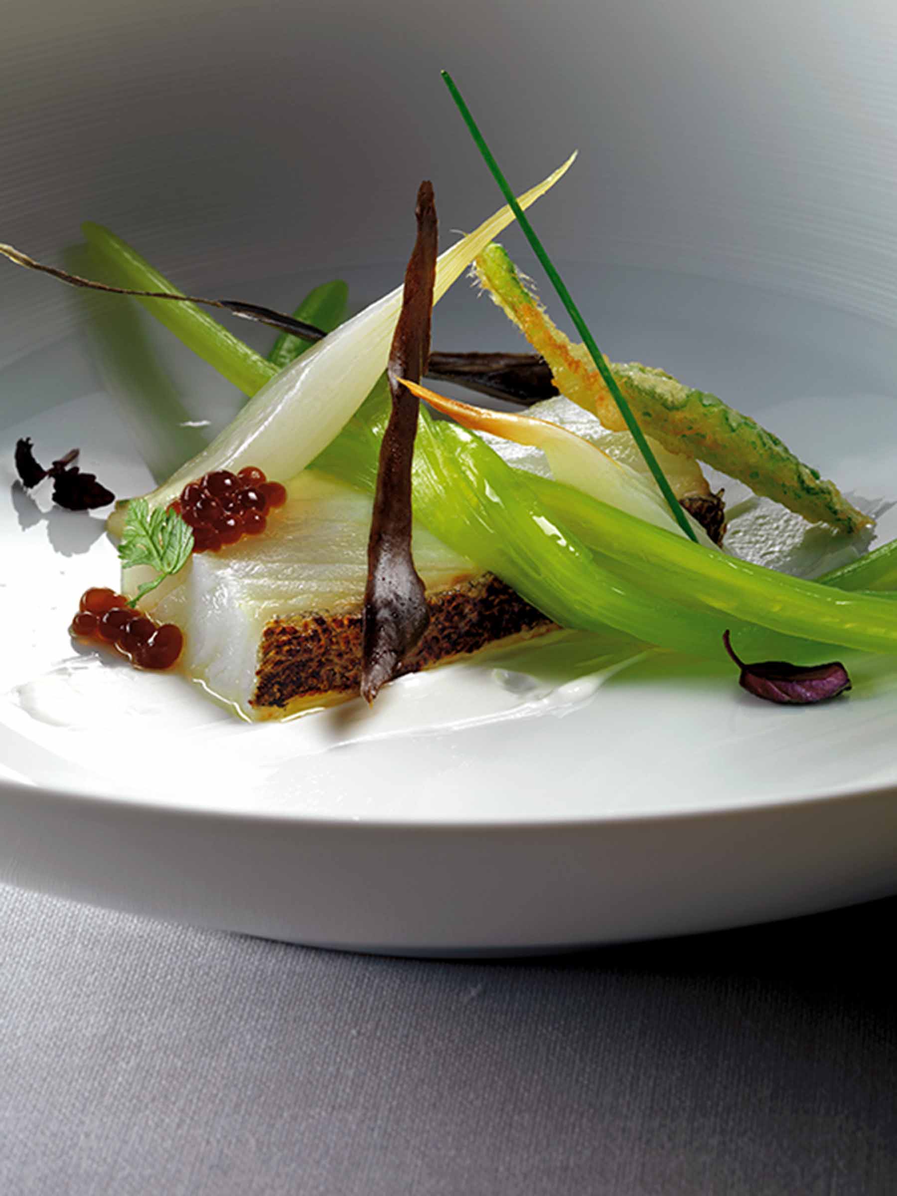 Bacalao (Foto Xavier Landa, cortesía del autor).