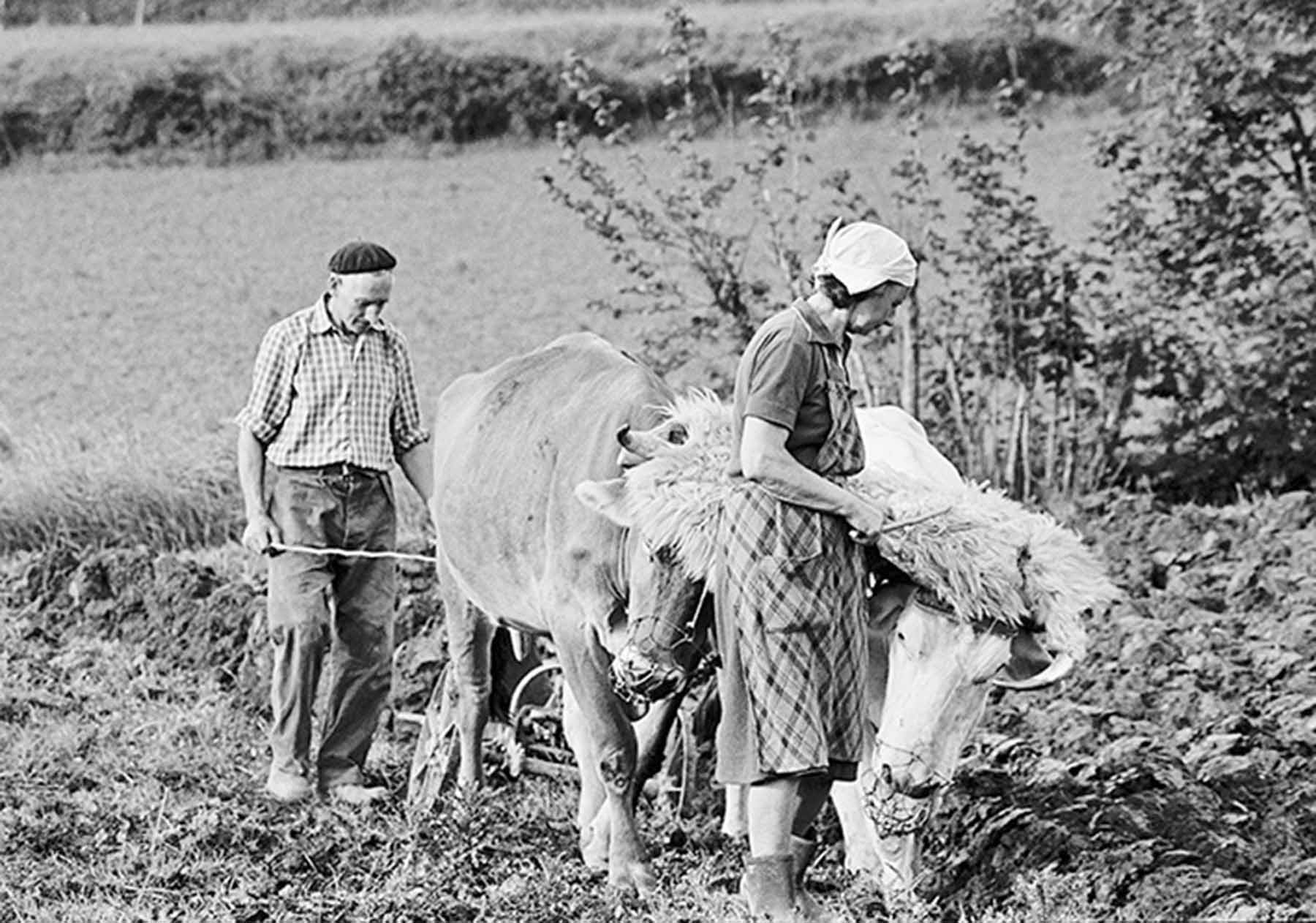 Primera foto, tomada en Irurita, con cámara propia en 1981 (Foto Xavier Landa, cortesía del autor)