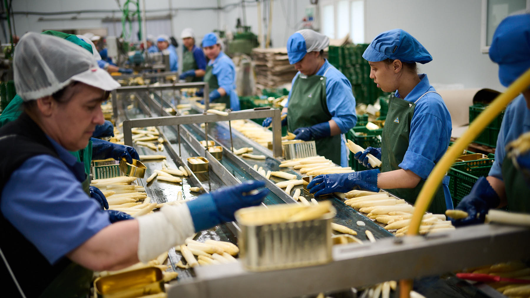 Conservera El Agricultor en Lerín. PABLO LASAOSA