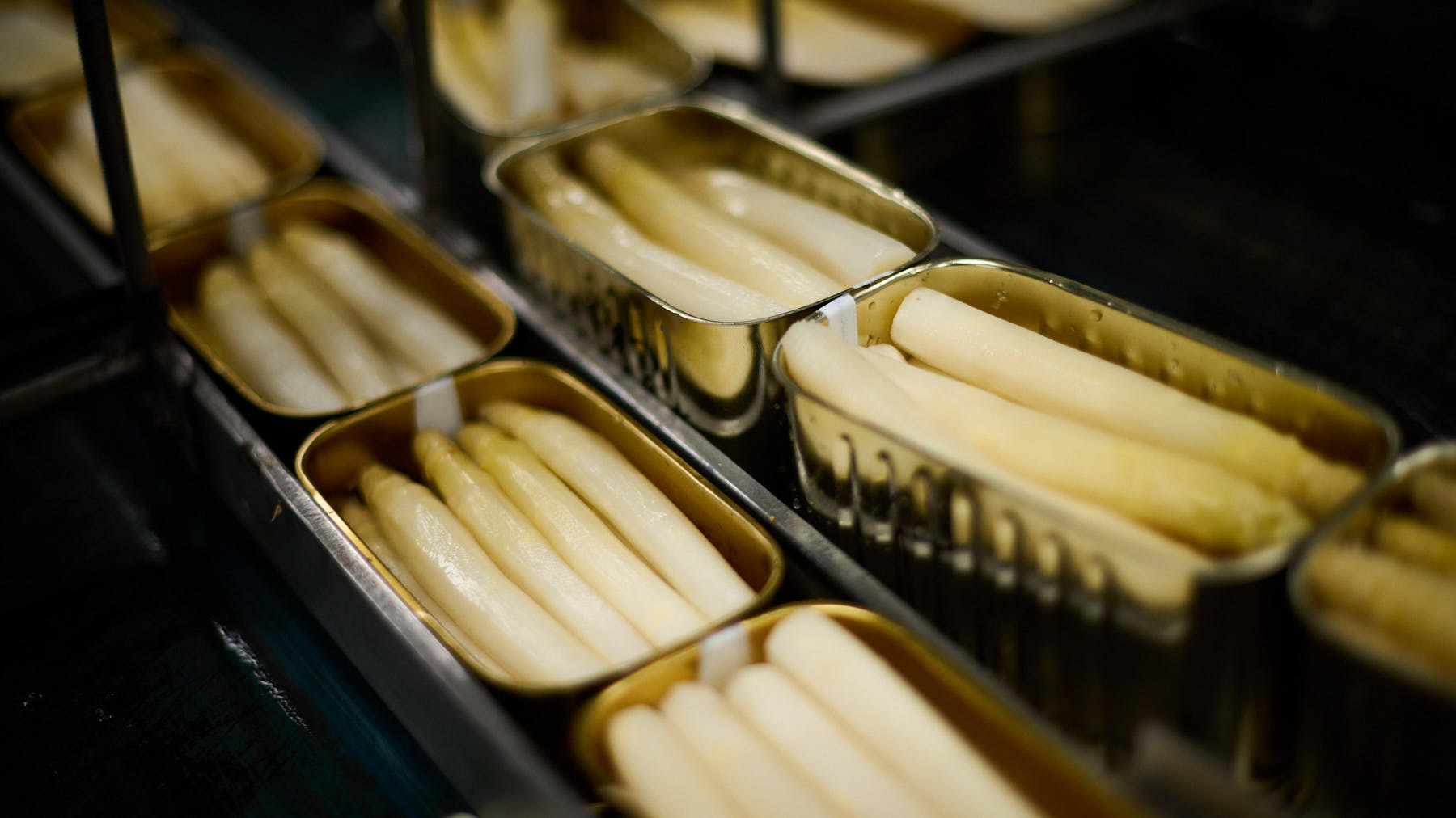 Conservera El Agricultor en Lerín. PABLO LASAOSA