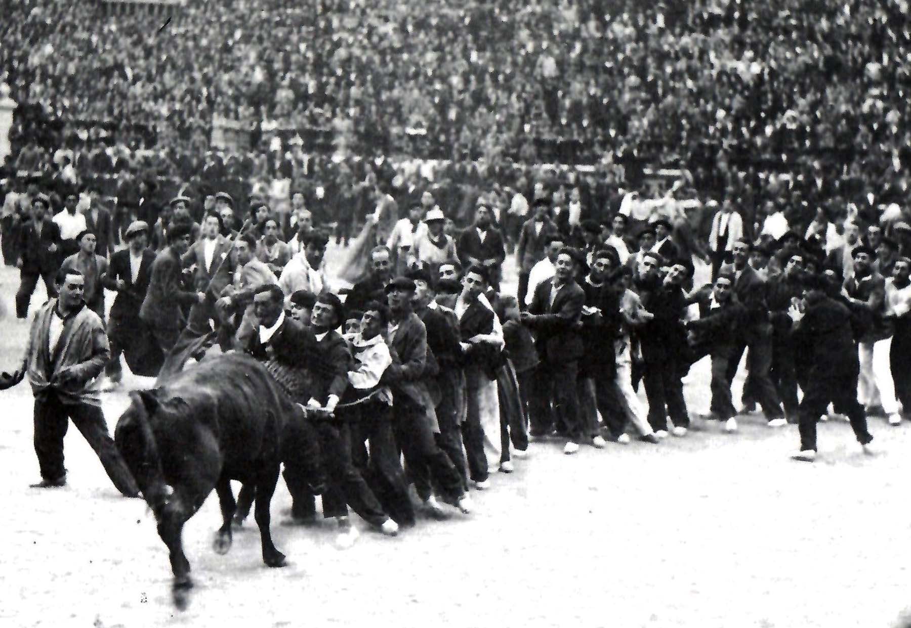 Foto 14. La suerte del cesto con las vaquillas tras el encierro 1927 (Foto Benito Rupérez, cortesía de Foto Koldo)